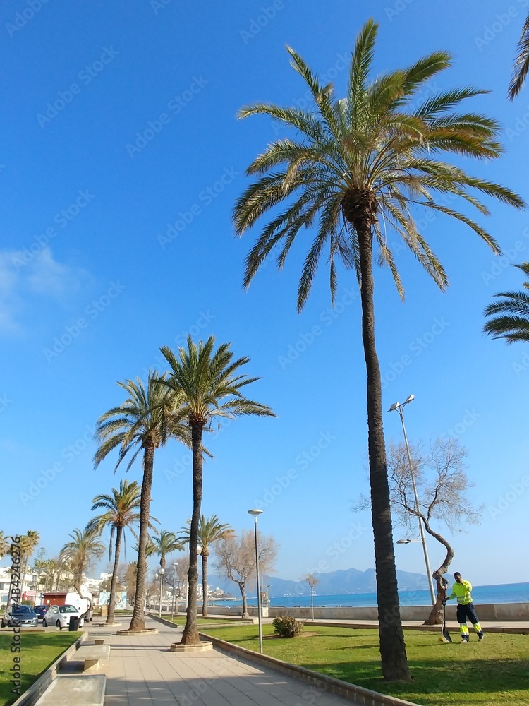 Mallorca Cala Millor