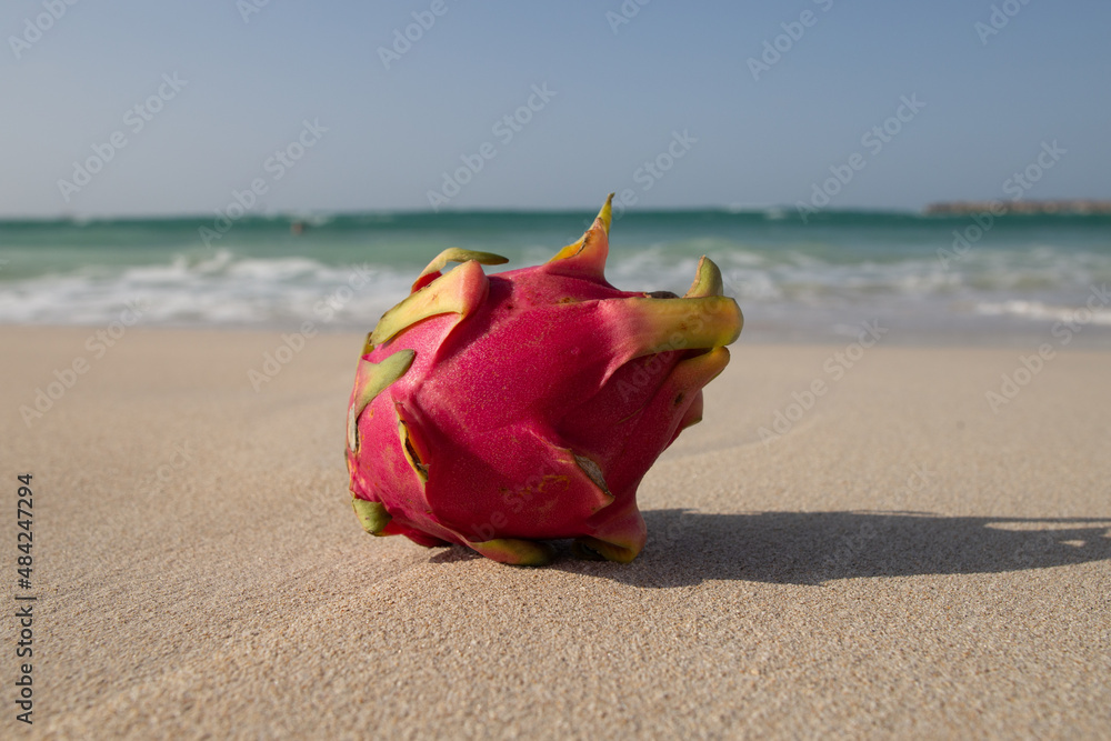 Dragon fruit on an exotic beach background Dragon fruit on an exotic beach background