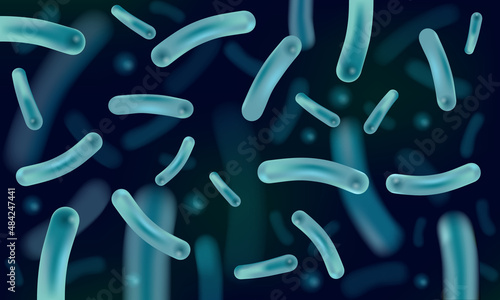 Probiotics Lactobacillus for restoring the intestinal flora, 3D realistic vector illustration