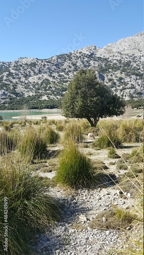 Mallorca Cuber Stausee