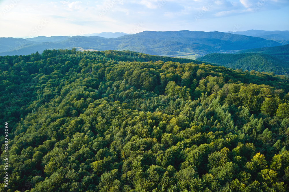 Aerial view of mountain hills covered with dense green lush woods on bright summer day