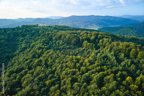 Aerial view of mountain hills covered with dense green lush woods on bright summer day