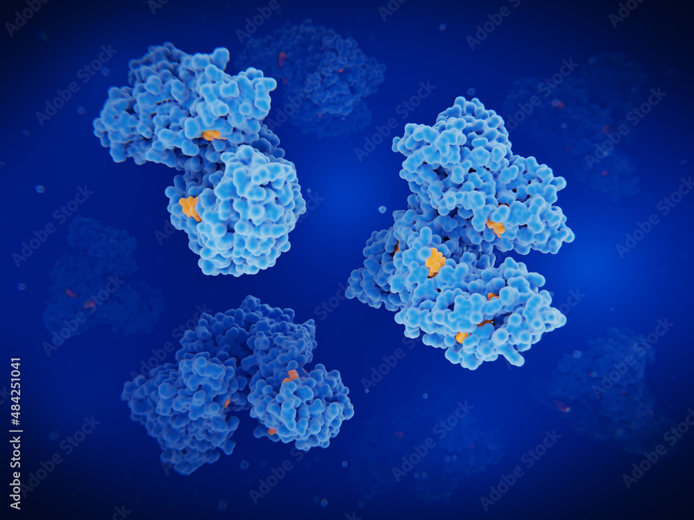 Albumin molecules transporting fatty acids, hormones and drugs in the blood - obrazy, fototapety, plakaty 