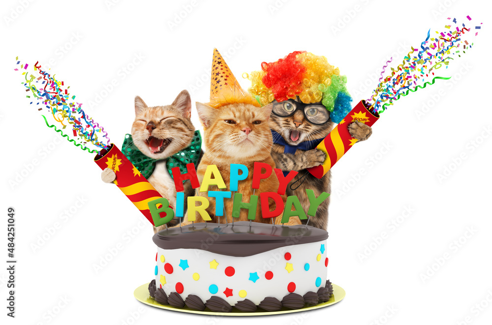 Funny cats with happy birthday cake. They are wearing a party hat, isolated on white background. Stock Photo | Adobe Stock Funny cats with happy birthday cake. They are wearing a party hat, isolated on white background. Stock Photo | Adobe Stock