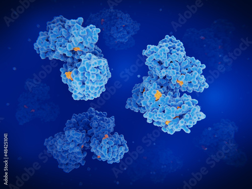 Albumin molecules transporting fatty acids, hormones and drugs in the blood © Juan Gärtner