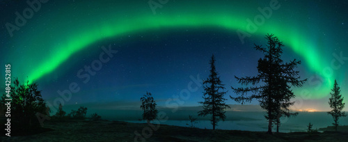 Wallpaper Mural beautiful winter Northern lights with trees	
 Torontodigital.ca