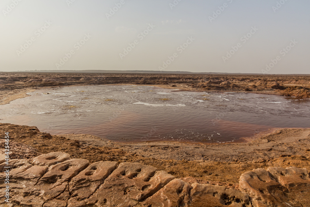 Gaet'ale Pond in Danakil depression, Ethiopia. Hypersaline lake with bubbling gas.