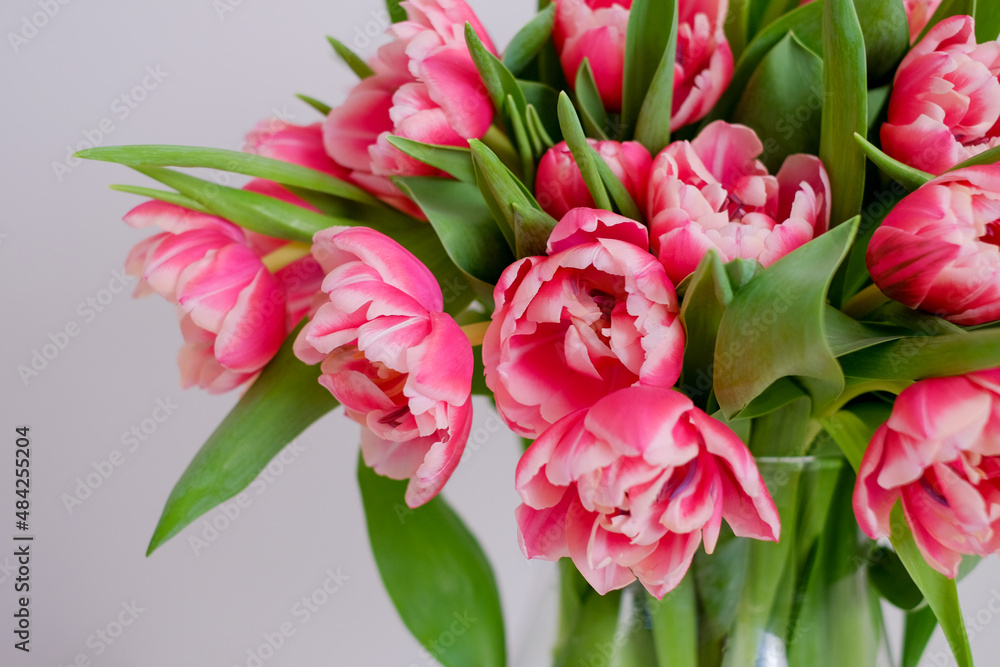 a bunch of pink tulips a bunch of pink tulips