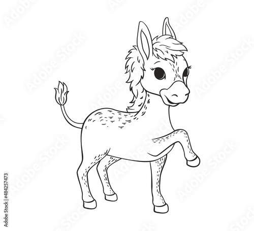 Coloring book Little gray donkey with big ears and tail.Vector illustration in cartoon style black and white line art