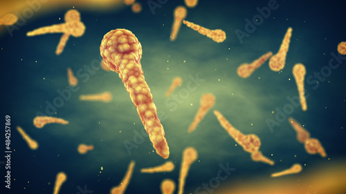 Tetanus is an infectious disease caused by the pathogenic bacterium Clostridium tetani. Tetanus bacteria spores are everywhere in the environment. photo