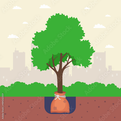 plant a small tree in a hole in the park. flat vector illustration.