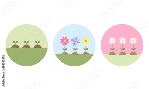 Vector set with three flat and simple illustrations with three sprouts, three different flowers and three white flowers. 