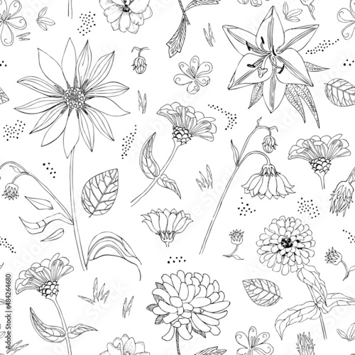 Unusually beautiful seamless natural ornament with flowers drawn in black outline on a white background. Jerusalem artichoke, aster, zinnia, lily, delphinium, leaves and buds. Vector illustration.