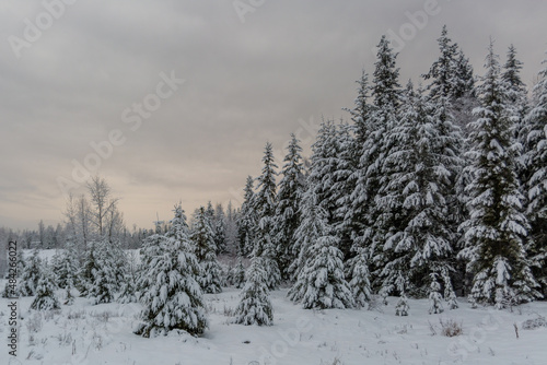 Winter Landscape © Benoit