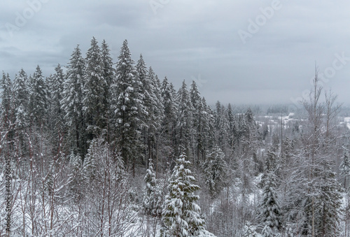 Winter Landscape © Benoit