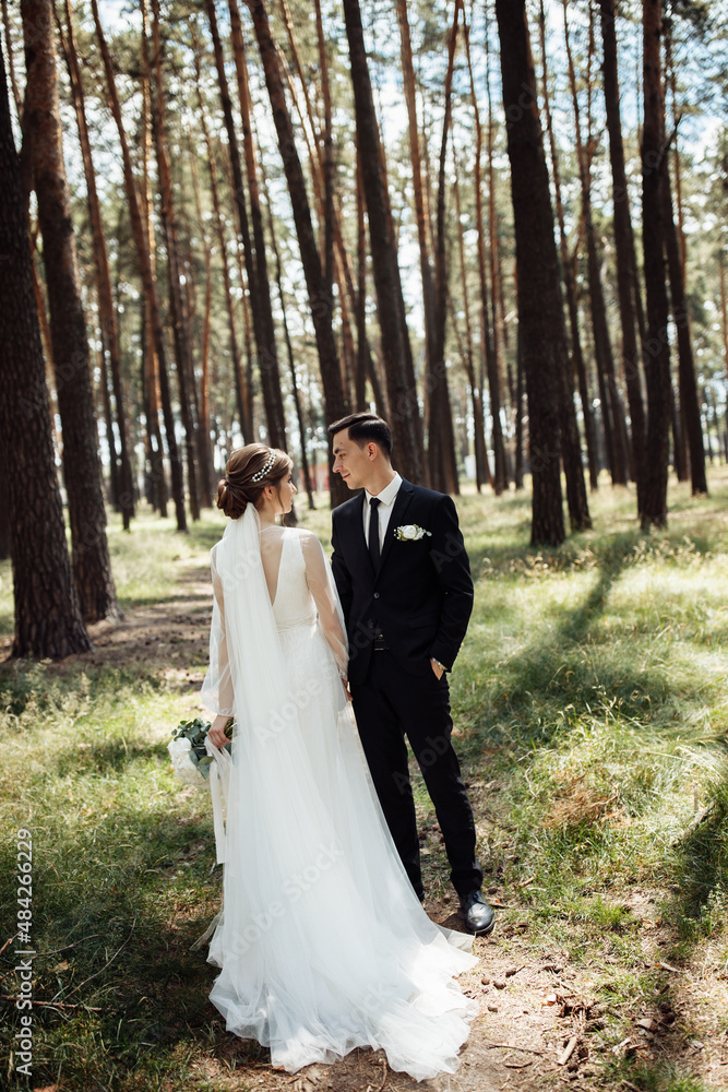 a handsome groom with a beautiful bride are walking in a pine park. portrait of newlyweds in love. lovers embrace a handsome groom with a beautiful bride are walking in a pine park. portrait of newlyweds in love. lovers embrace