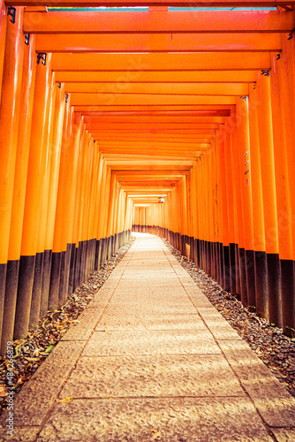 The Senbon Torii, Thousands Torii Gate, at Fushimi Inari Taisha Shinto shrine in daylight.