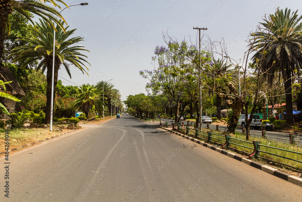 Palm lined avenue in Bahir Dar, Ethiopia Palm lined avenue in Bahir Dar, Ethiopia