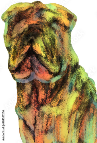 Shar Pei - sharpei dessiné style patchwork ou graffiti grunge et couleurs pastel pour décoration, illustration, impression.  photo