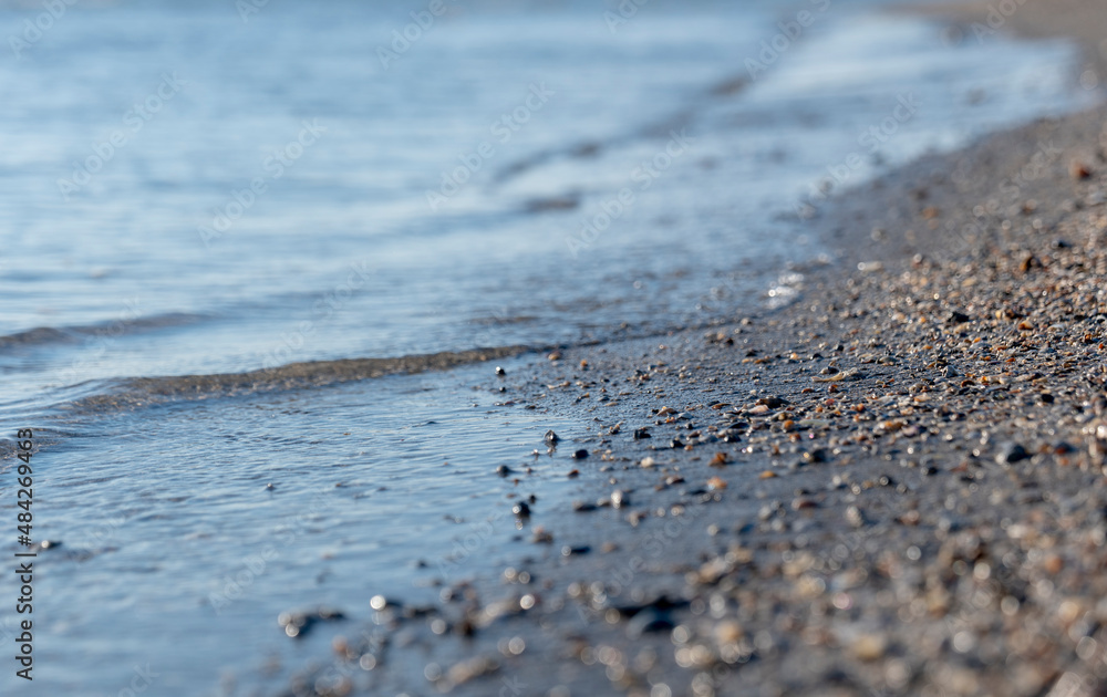 sandy beach dotted with small shells against the background of transparent sea water sandy beach dotted with small shells against the background of transparent sea water
