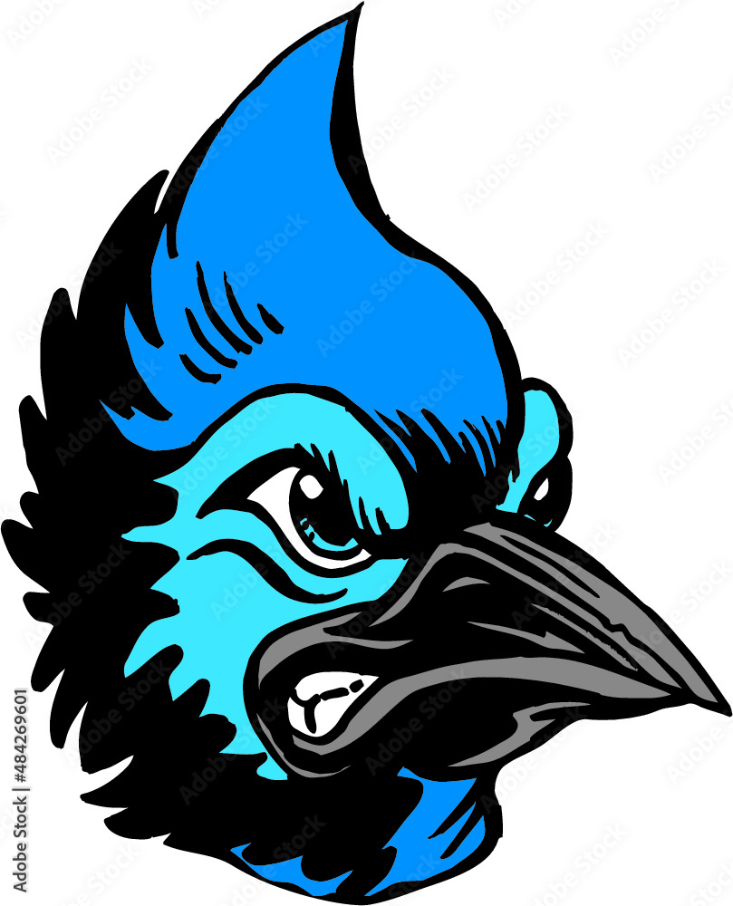 Blue Jay Mascot Head Vector Illustration Stock Vector | Adobe Stock