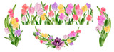 Tulip floral set. Spring flowers. Seamless border, boquets, wreath. Watercolor illustration. Easter card, wedding invitation, blog decoration