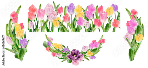 Tulip floral set. Spring flowers. Seamless border, boquets, wreath. Watercolor illustration. Easter card, wedding invitation, blog decoration #484269617