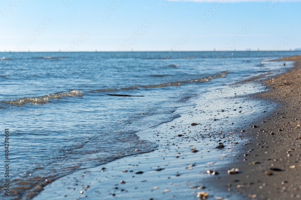 sandy beach dotted with small shells against the background of transparent sea water sandy beach dotted with small shells against the background of transparent sea water