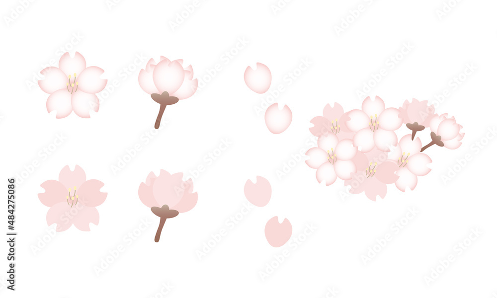 Obraz premium 桜 パーツ