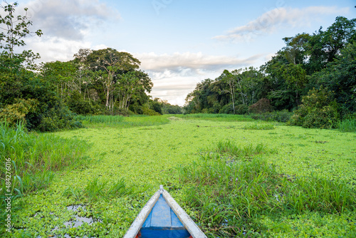 Canoe trip on the Gamboa river . At the community of Gamboa next to the amazon river, peru