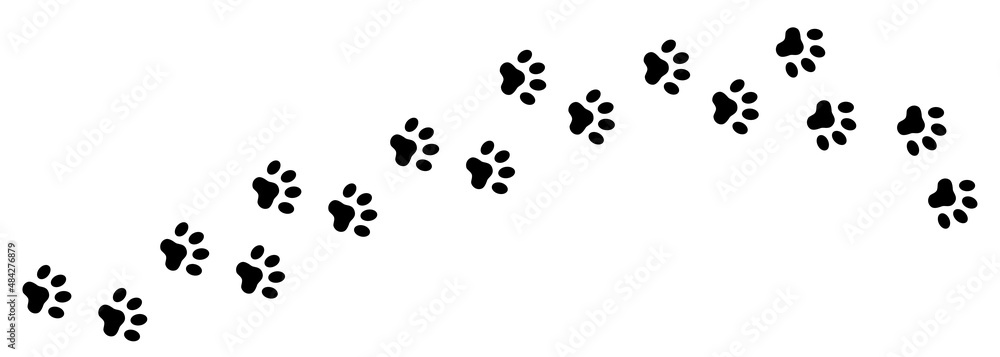 Paw prints of a cat or dog. A line of footprints. Vector template. Illustration isolated on white background.