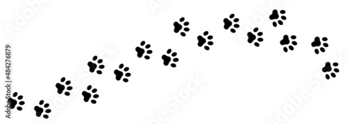 Paw prints of a cat or dog. A line of footprints. Vector template. Illustration isolated on white background.