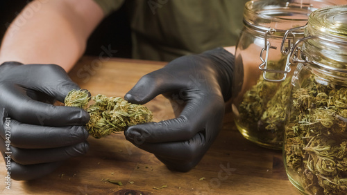Hands holding a dry cannabis flower bud, prepared for trimming. On the table are storage glass jars full of CBD buds.