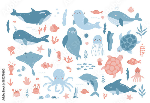 Vector set of ocean underwater animals. Cute cartoon dolphin, seal, narwhal, whale, turtle, shark, octopus and sea plants. Flat cartoon characters on white background. © Kristina