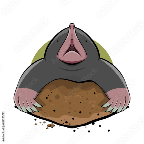 cartoon illustration of a mole