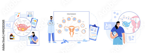 Embryo development concept