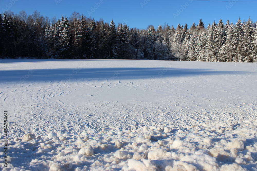 Beautiful snow on the field. Beautiful winter landscape with blue sky and snow on the field. The forest is covered with snow. winter landscape with snow