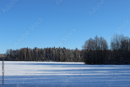 landscape with trees and snow, winter lanscape