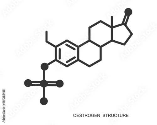 Oestrogen icon. Estrogen chemical molecular structure. Female steroid sex hormone sign. Hormone replacement therapy concept. Vector outline illustration.