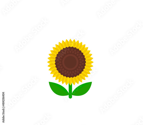 Sunflower vector isolated icon. Emoji illustration. Sunflower vector emoticon