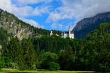 zamek w górach, krajobraz z zamkiem na skale, romantic castle on the hill in the forest 