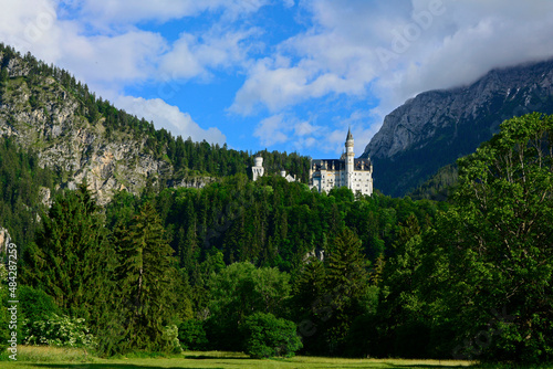zamek w górach, krajobraz z zamkiem na skale, romantic castle on the hill in the forest	
