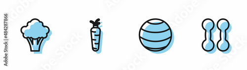 Set line Fitness ball, Broccoli, Carrot and Dumbbell icon. Vector