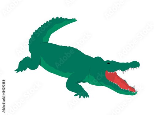 Crocodile illustration. Flat design wild animal. Green aligator with open mouth  isolated on a white background.