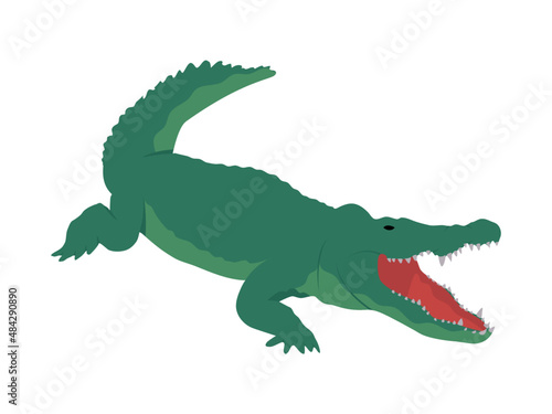 Crocodile illustration. Flat design wild animal. Green aligator with open mouth  isolated on a white background. Vector.