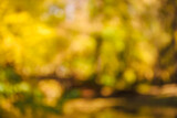 Blurred view of autumn trees, lake and bridge in park