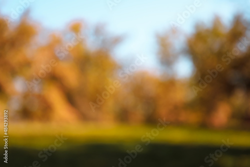 Blurred view of autumn trees in park