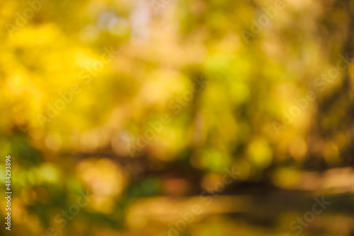 Blurred view of autumn trees, lake and bridge in park © Pixel-Shot