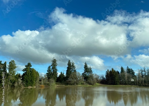 Fir Trees Reflecting in the Lake