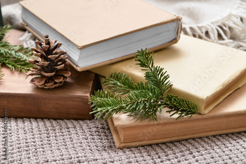 Books, fir tree branches and pine cone on plaid